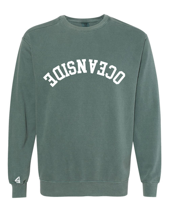 Capture Life Crewneck Sweatshirt Front  Puff Embroidery / Back Printed
