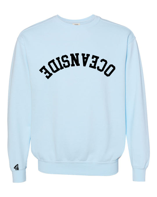 Capture Life Crewneck Sweatshirt Front  Puff Embroidery / Back Printed