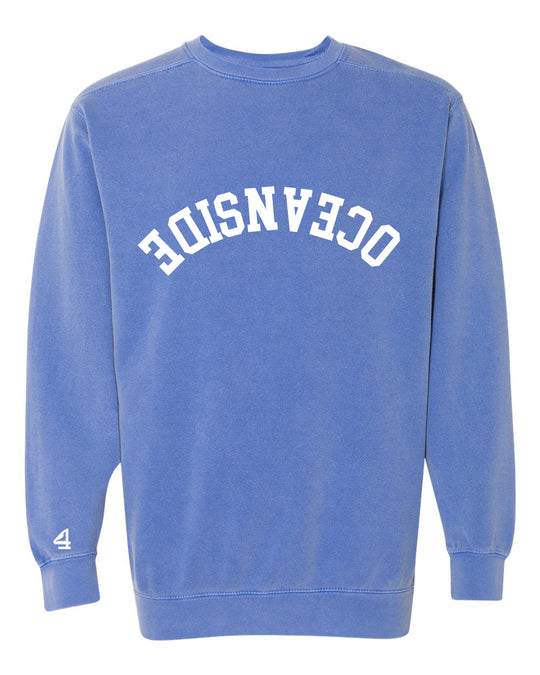 Capture Life Crewneck Sweatshirt Front  Puff Embroidery / Back Printed