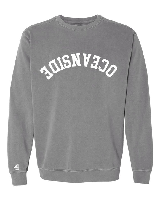 Capture Life Crewneck Sweatshirt Front  Puff Embroidery / Back Printed