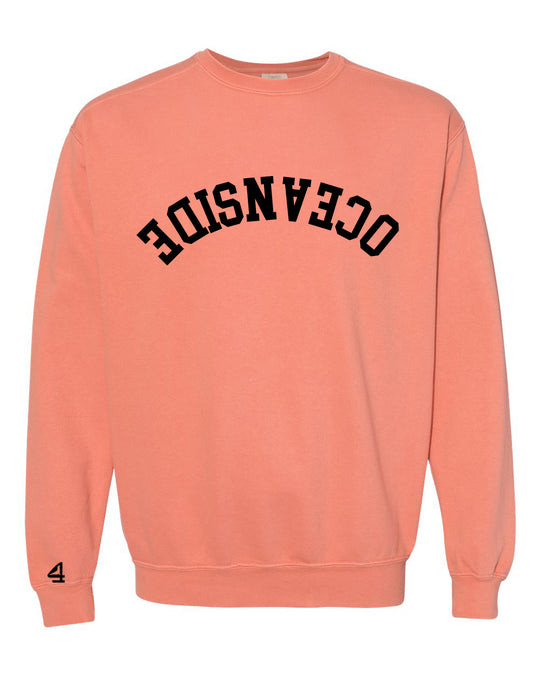 Capture Life Crewneck Sweatshirt Front  Puff Embroidery / Back Printed