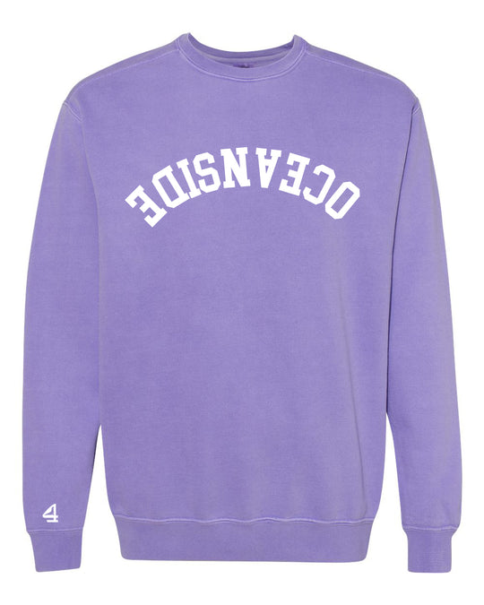 Capture Life Crewneck Sweatshirt Front  Puff Embroidery / Back Printed