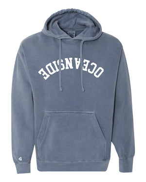 Capture Life Hoodie Front Puff Embroidery / Back Printed