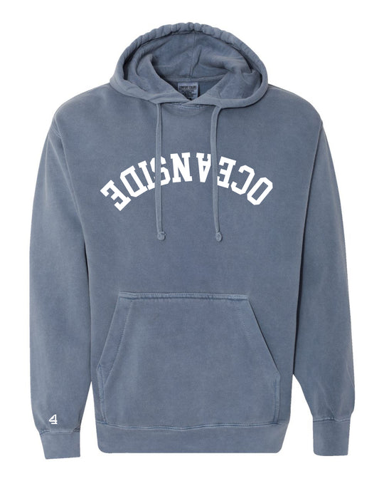 Capture Life Hoodie Front Puff Embroidery / Back Printed