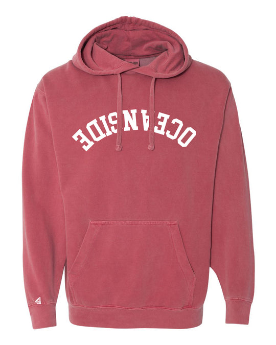 Capture Life Hoodie Front Puff Embroidery / Back Printed