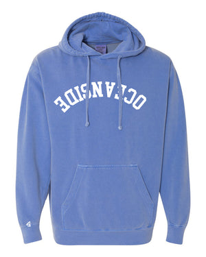 Capture Life Hoodie Front Puff Embroidery / Back Printed