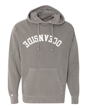 Capture Life Hoodie Front Puff Embroidery / Back Printed