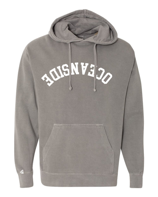 Capture Life Hoodie Front Puff Embroidery / Back Printed