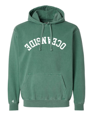 Capture Life Hoodie Front Puff Embroidery / Back Printed
