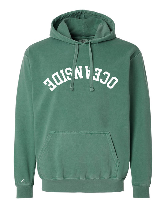 Capture Life Hoodie Front Puff Embroidery / Back Printed