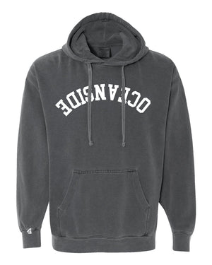 Capture Life Hoodie Front Puff Embroidery / Back Printed