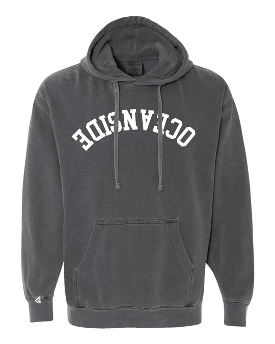 Capture Life Hoodie Front Puff Embroidery / Back Printed