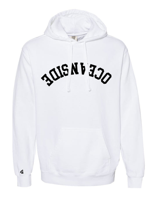 Capture Life Hoodie Front Puff Embroidery / Back Printed