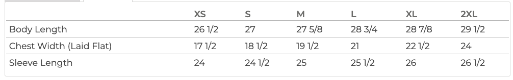 Oceanside Lacrosse Under Armour Ladies' Team Tech Long-Sleeve T-Shirt