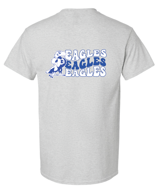 Valley Stream Central Seniors Cotton Tshirts