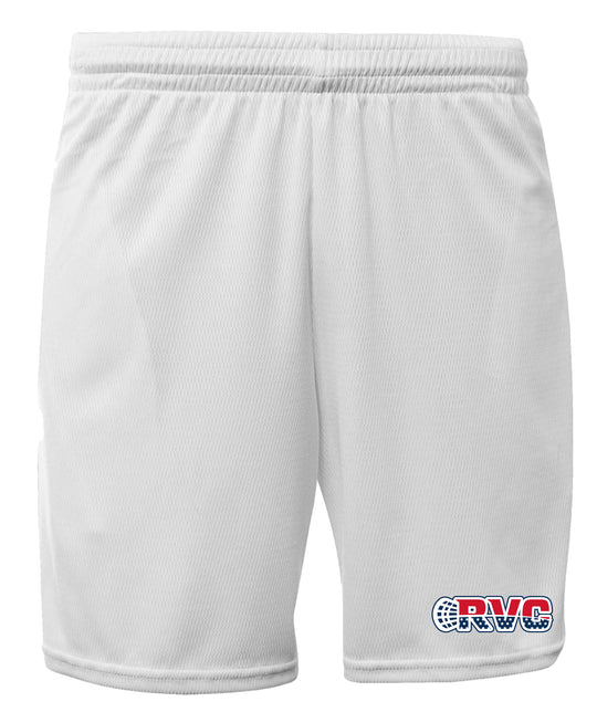 RVC Mesh Shorts