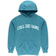 Your College Vintage Hoodie